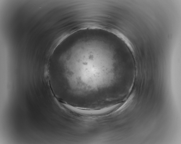 X0000093491385200711091637