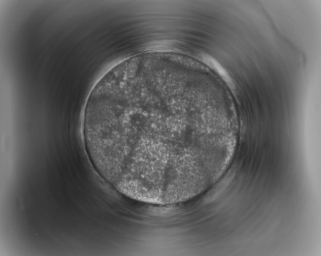 X0000093491386200711091637