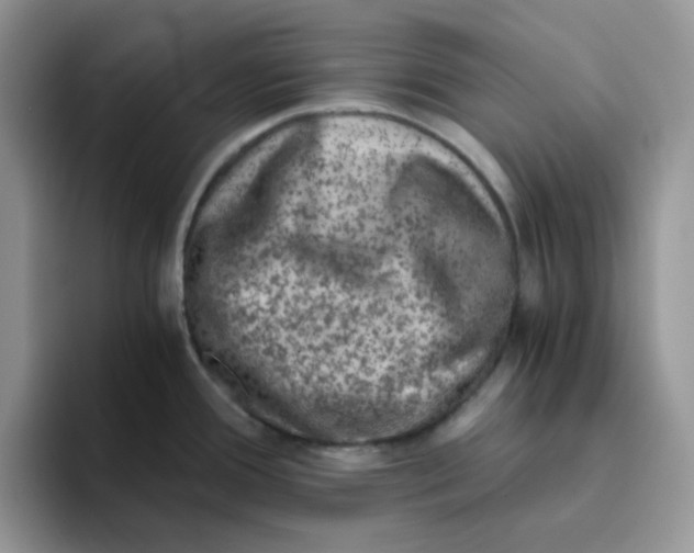 X0000093491388200711091637