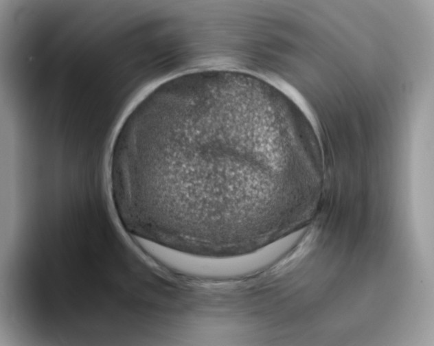 X0000093491389200711091637