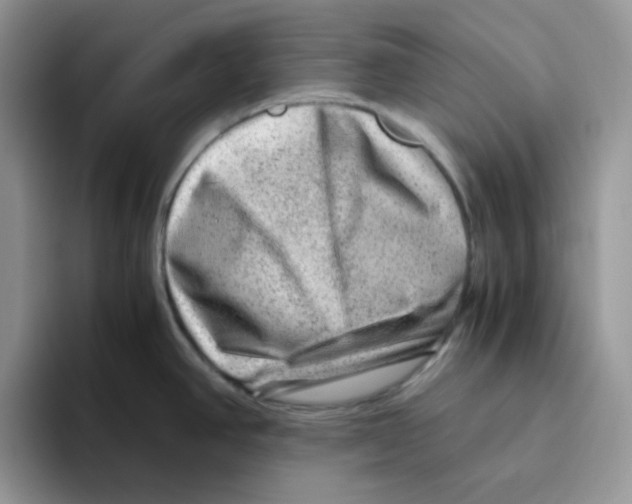 X0000093491390200711091637