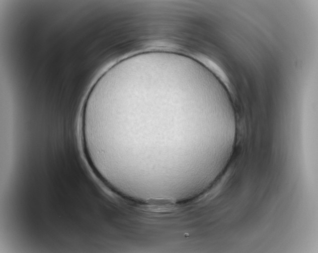 X0000093491391200711091637