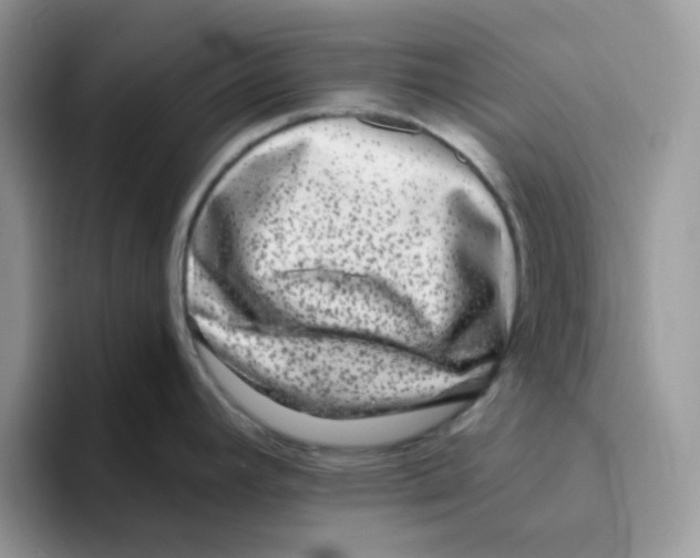 X0000093491392200711091637