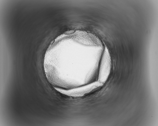 X0000093491393200711091636