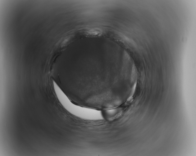 X0000093491394200711091636