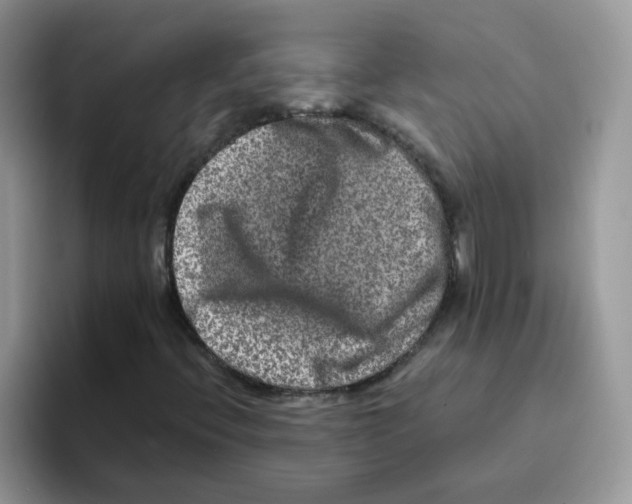 X0000093491396200711091636