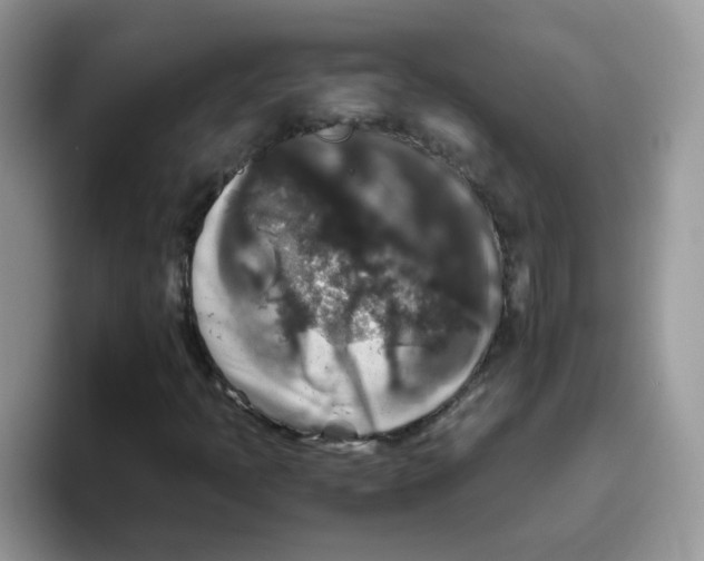 X0000093491397200711091636