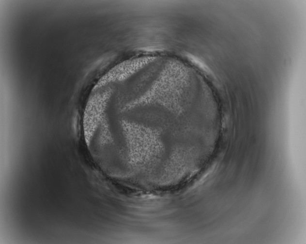 X0000093491398200711091636