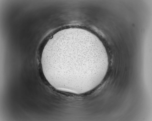 X0000093491400200711091636