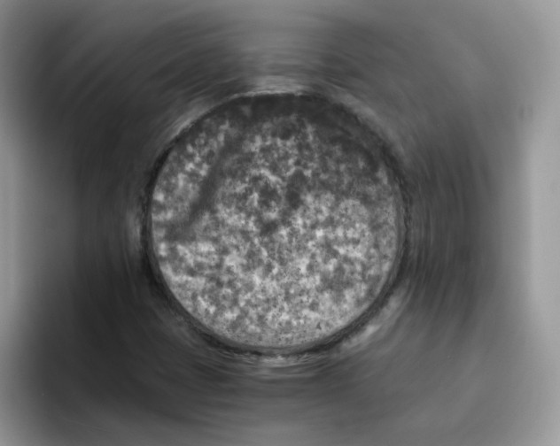 X0000093491401200711091636