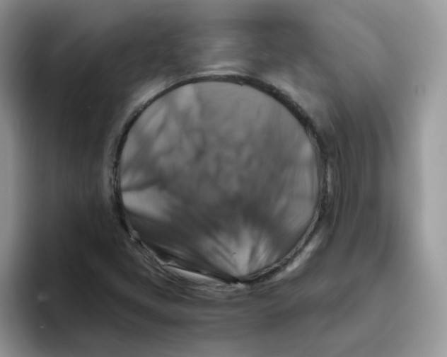 X0000093491405200711091636