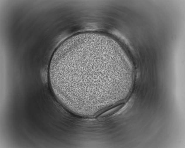 X0000093491409200711091636