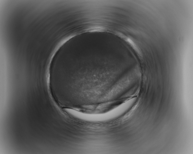 X0000093491418200711091636