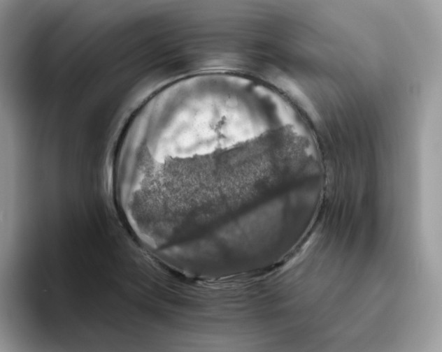 X0000093491419200711091636