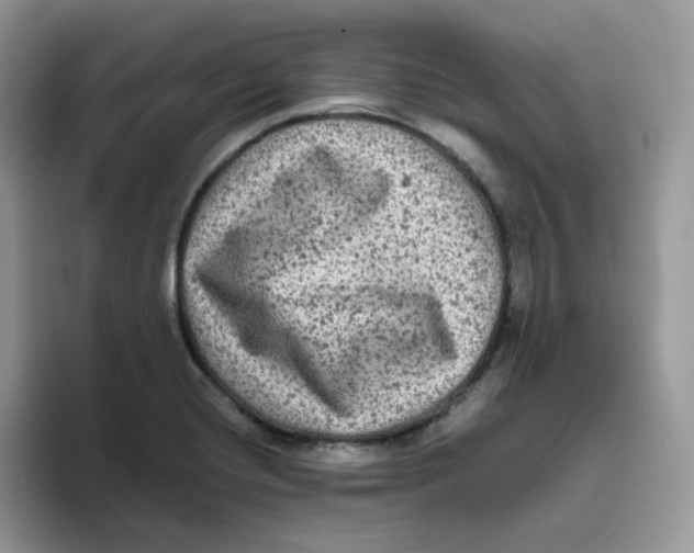 X0000093491420200711091636