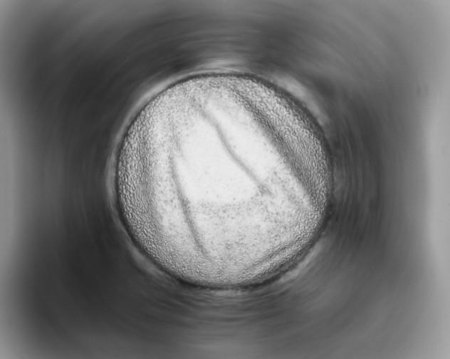 X0000093491421200711091636