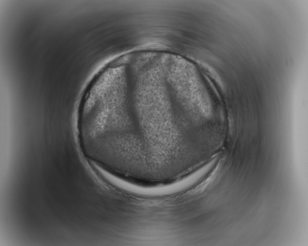 X0000093491422200711091636