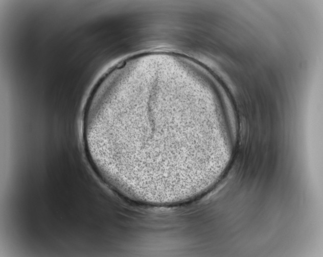 X0000093491424200711091636