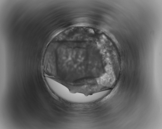 X0000093491425200711091636