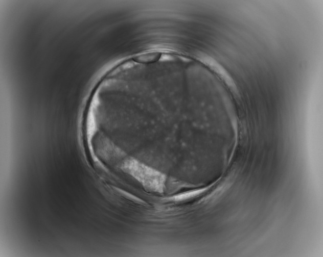 X0000093491427200711091637