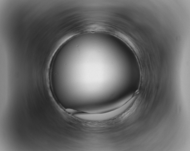 X0000093491434200711091637