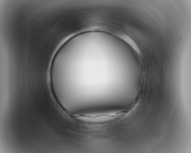 X0000093491436200711091637