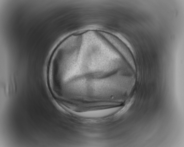 X0000093491438200711091637