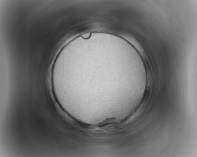 X0000093491439200711091637