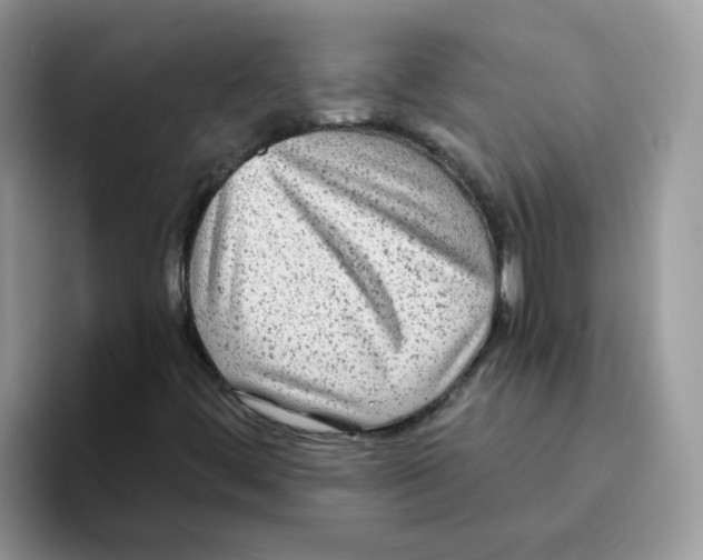 X0000093491444200711091636