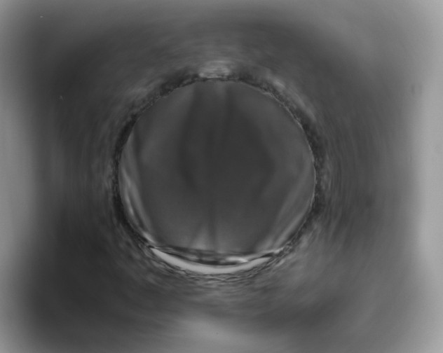 X0000093491445200711091636