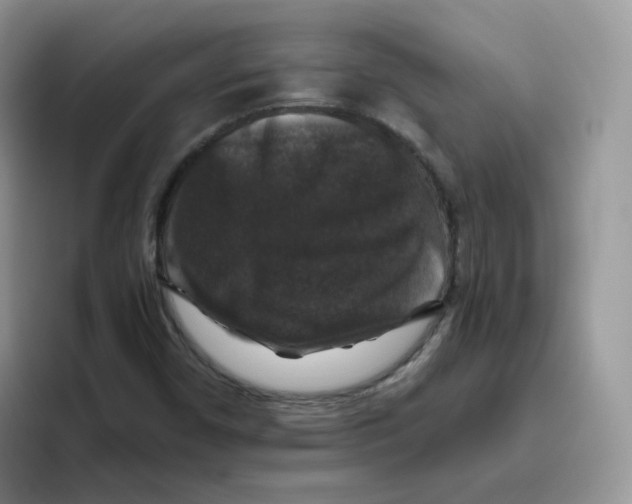 X0000093491450200711091636