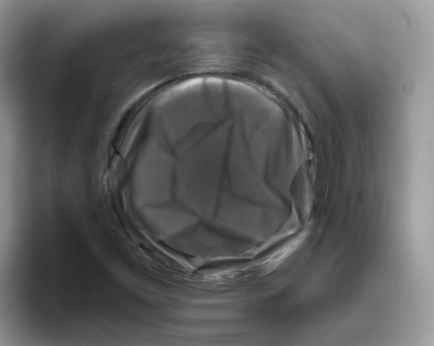 X0000093491453200711091636