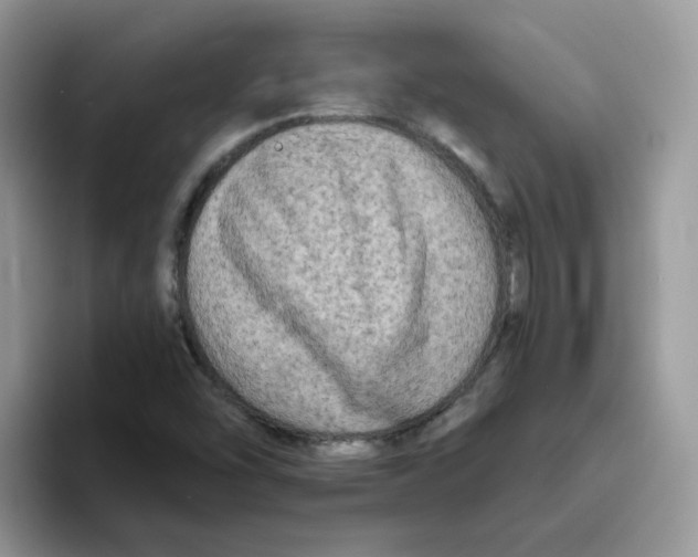 X0000093491454200711091636