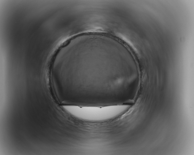 X0000093491455200711091636