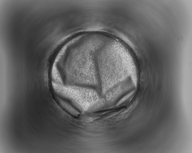 X0000093491456200711091636