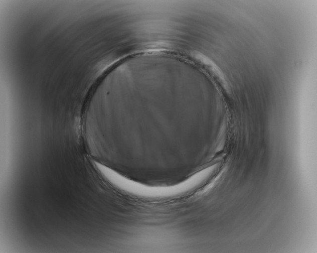 X0000093491457200711091636