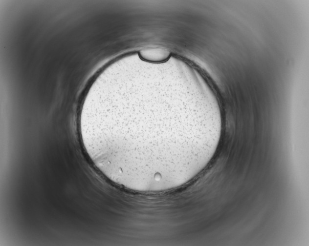 X0000093491460200711091636