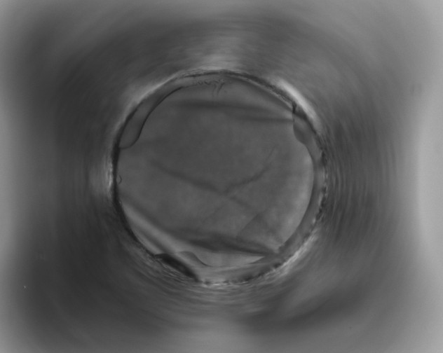 X0000093491461200711091636