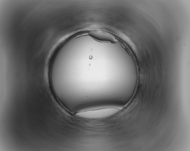 X0000093491464200711091636