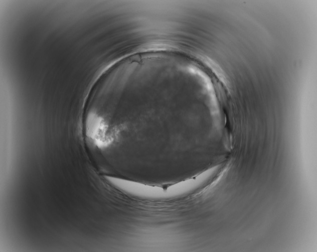 X0000093491465200711091636