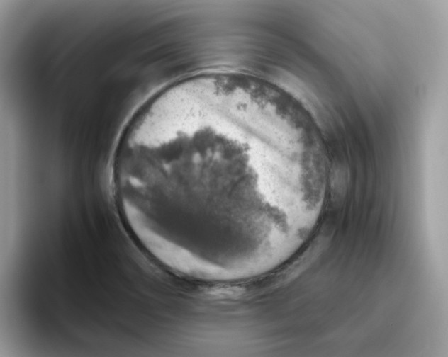 X0000093491466200711091636