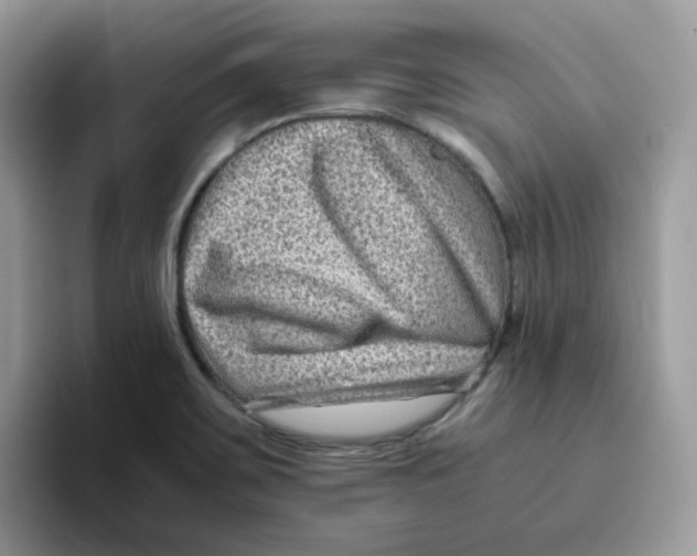 X0000093491467200711091636