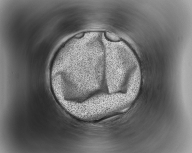 X0000093491472200711091636