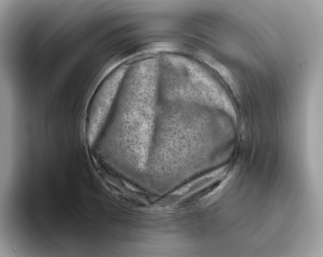 X0000093491473200711091636