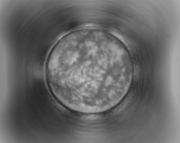 X0000093491474200711091636