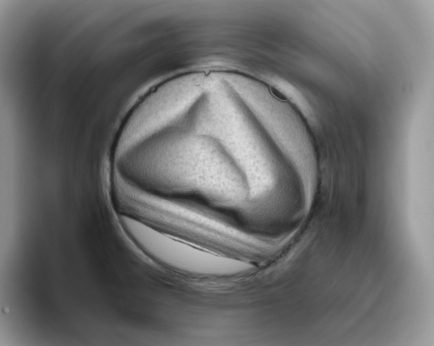 X0000093491476200711091636