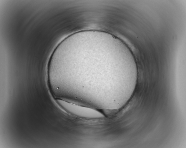 X0000093491479200711091635