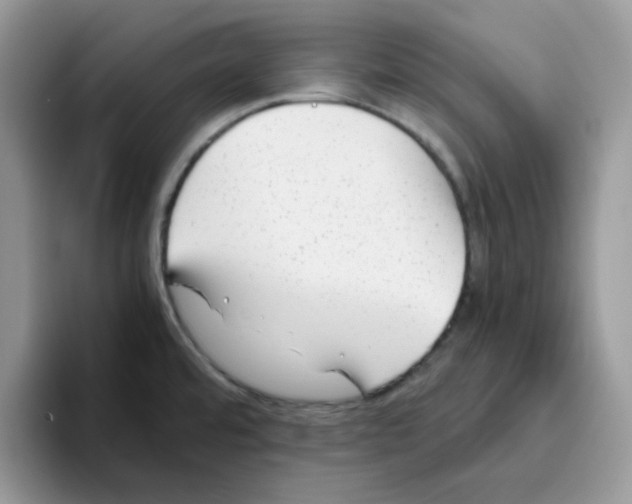 X0000093491480200711091635