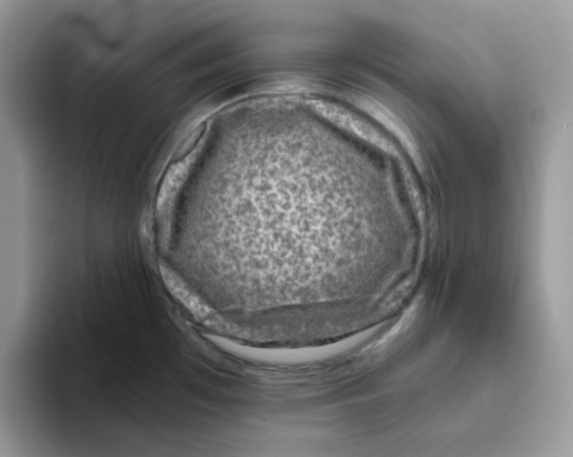 X0000093491481200711091635