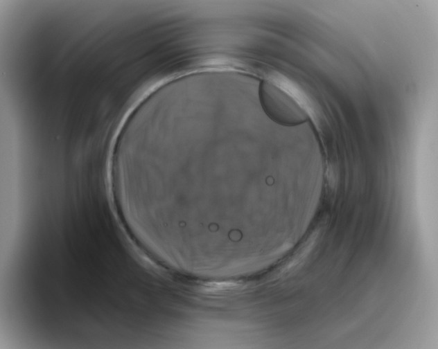 X0000093491482200711091635